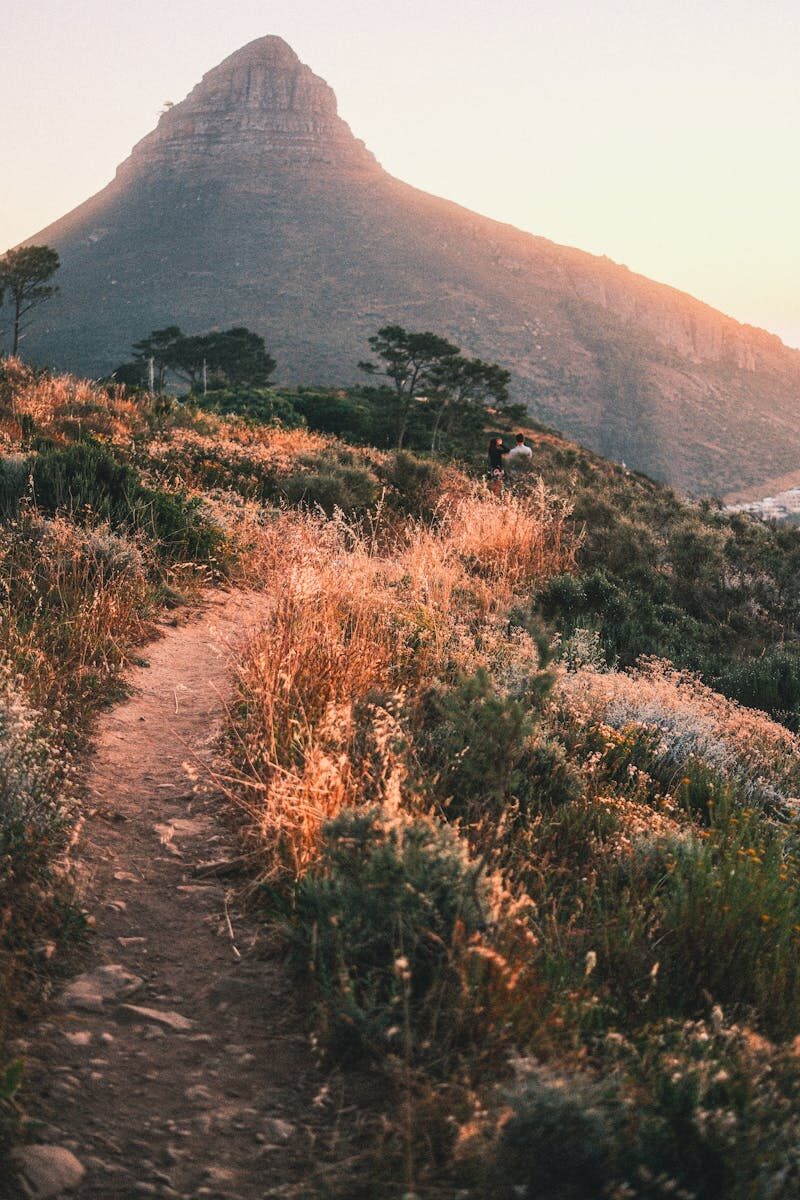 Nuclear Emergency Response